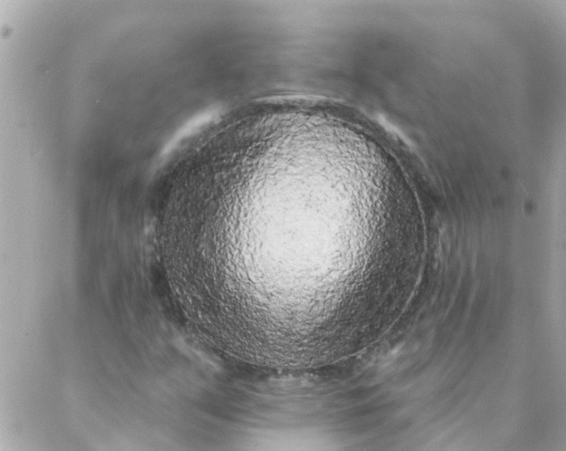 X0000087381351200705041935