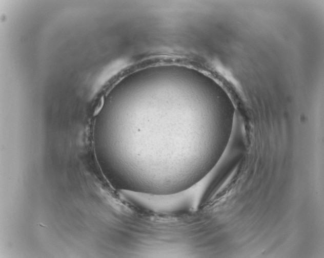 X0000087381352200705041935