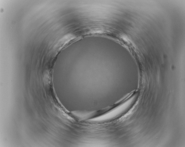 X0000087381353200705041935