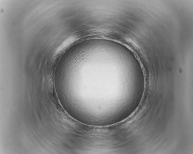 X0000087381354200705041935