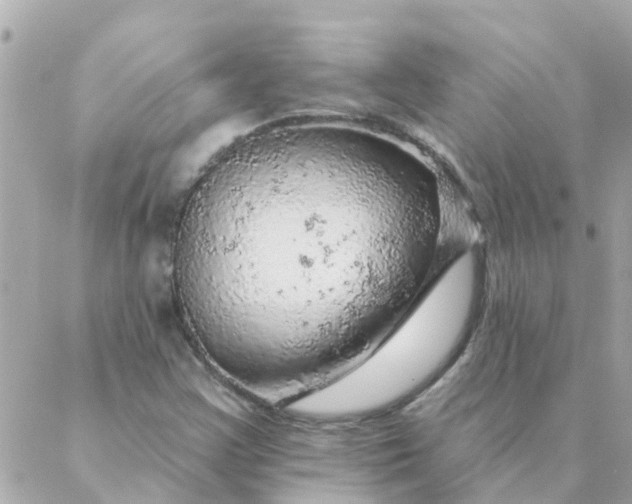 X0000087381355200705041935