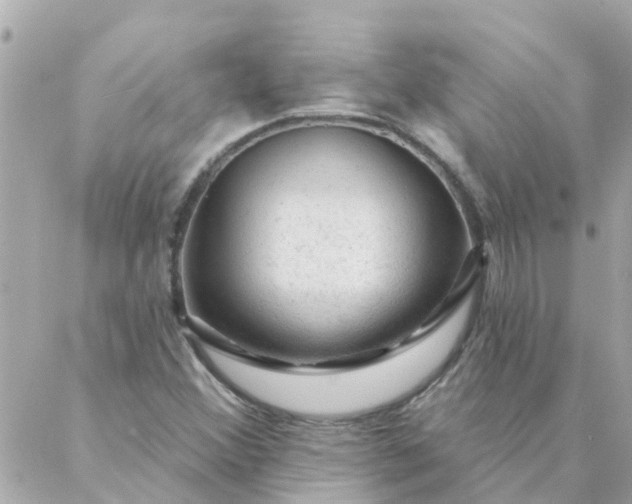 X0000087381356200705041935