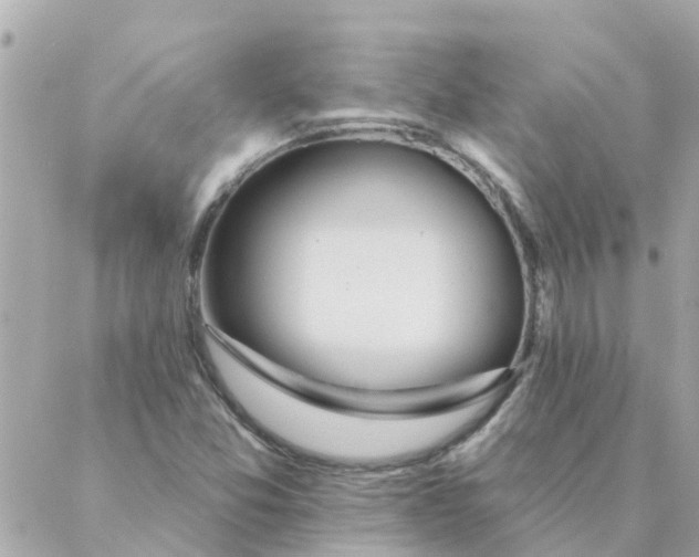 X0000087381357200705041935