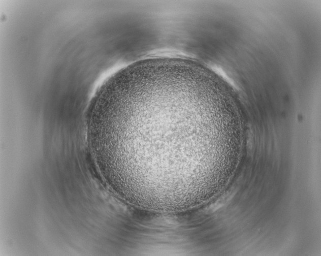 X0000087381358200705041935