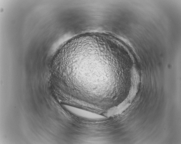 X0000087381359200705041935