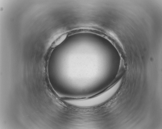 X0000087381360200705041935