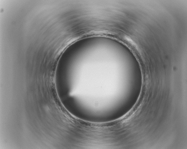 X0000087381361200705041935