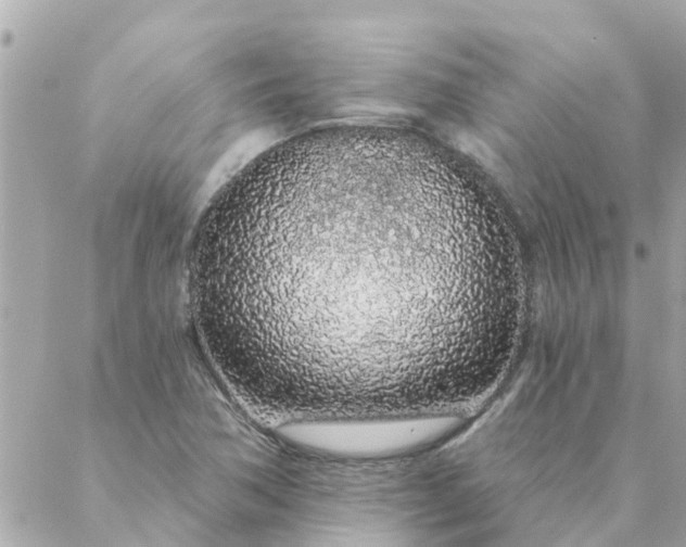 X0000087381362200705041935