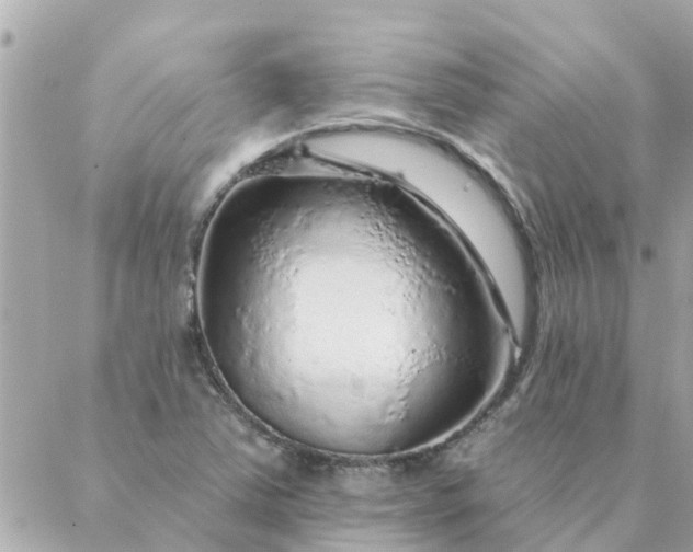 X0000087381363200705041935