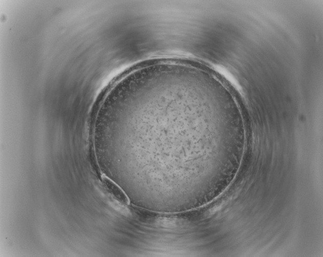 X0000087381364200705041935