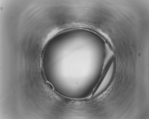 X0000087381365200705041935