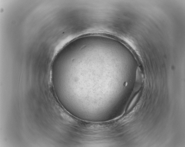 X0000087381366200705041935