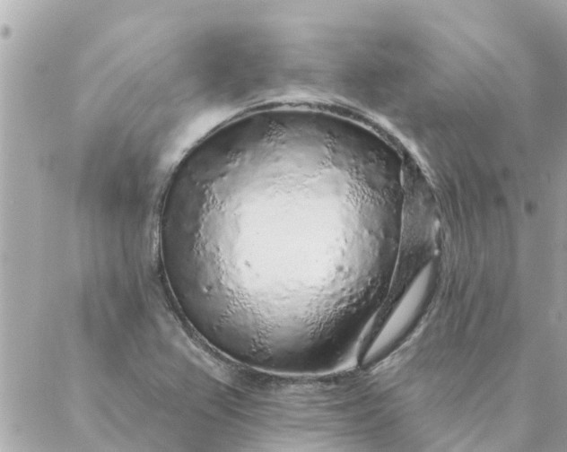 X0000087381367200705041935