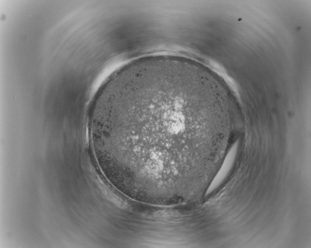 X0000087381368200705041935