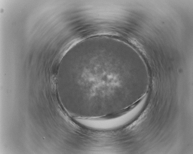 X0000087381369200705041934