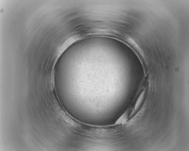 X0000087381370200705041934