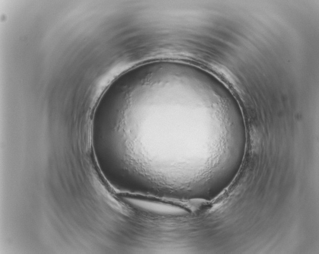 X0000087381371200705041934