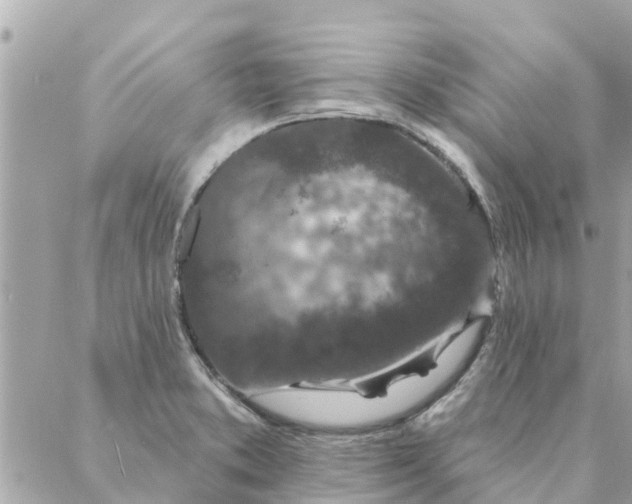 X0000087381373200705041934