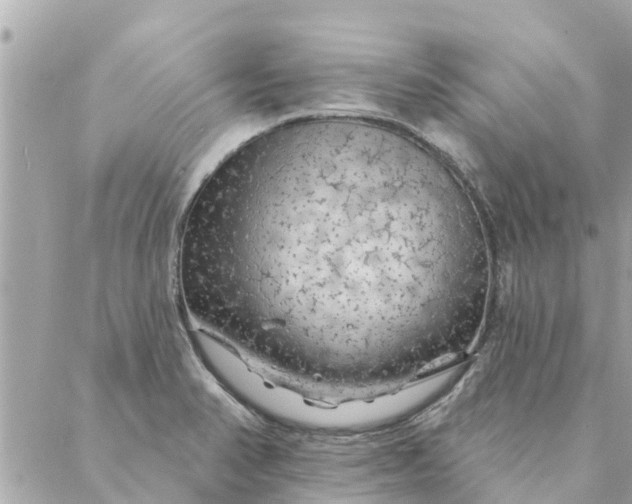 X0000087381374200705041934