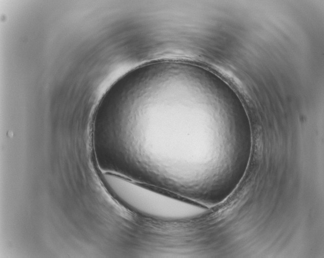 X0000087381375200705041934