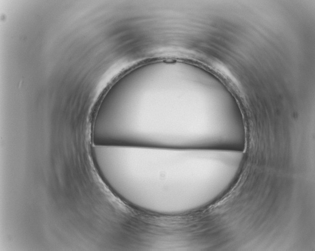 X0000087381376200705041934