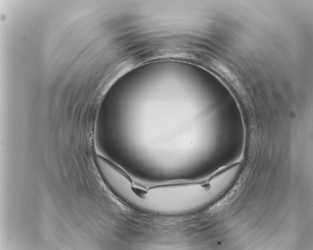 X0000087381377200705041934