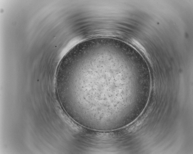 X0000087381378200705041934