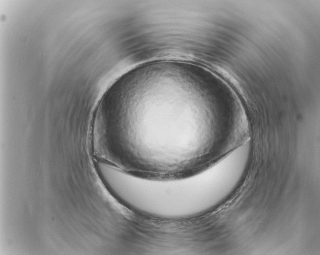 X0000087381379200705041934