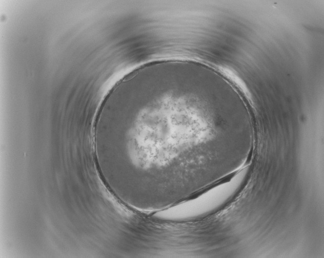 X0000087381380200705041934