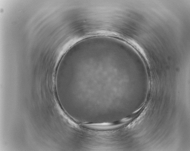 X0000087381381200705041934