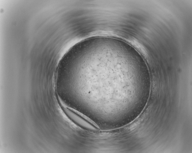 X0000087381382200705041934