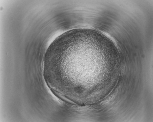 X0000087381383200705041934