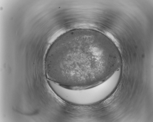 X0000087381384200705041934