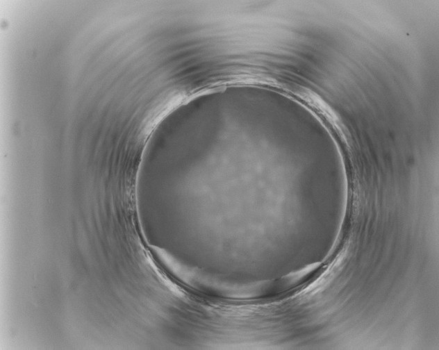 X0000087381385200705041934