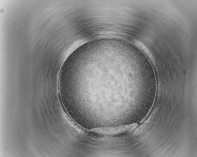 X0000087381386200705041934