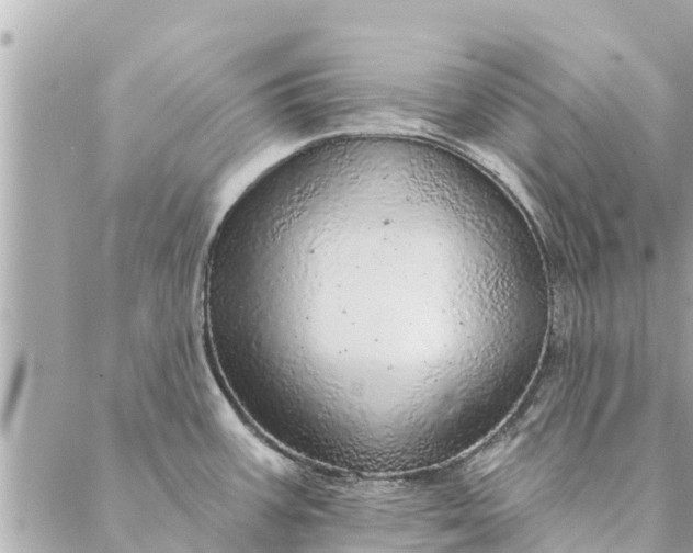 X0000087381387200705041934