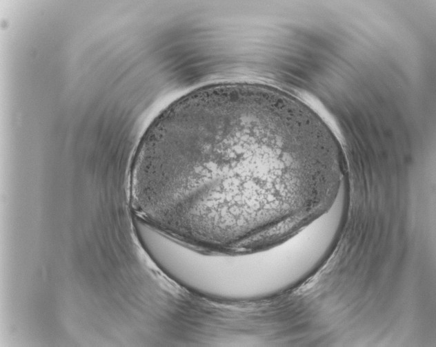 X0000087381388200705041934