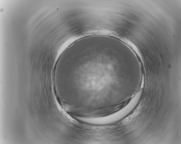 X0000087381389200705041934