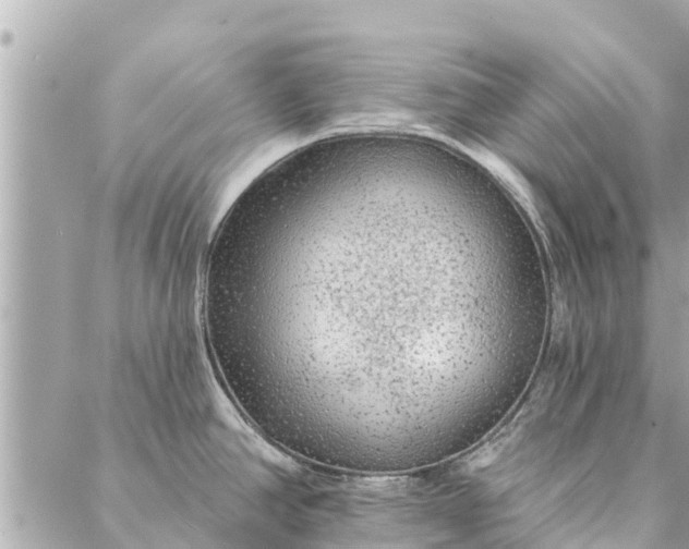 X0000087381390200705041934