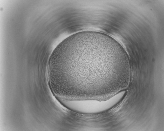 X0000087381391200705041934