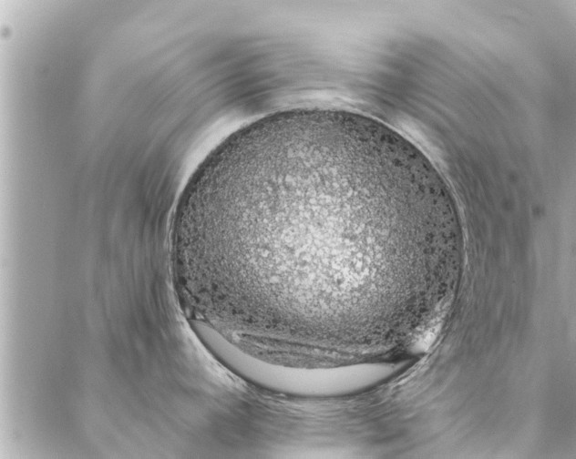 X0000087381392200705041934