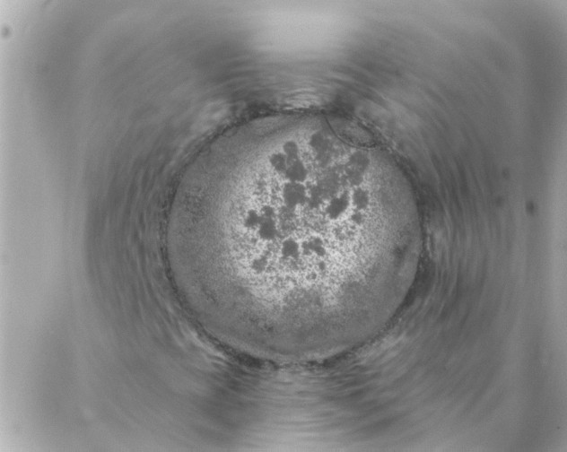 X0000087381393200705041933