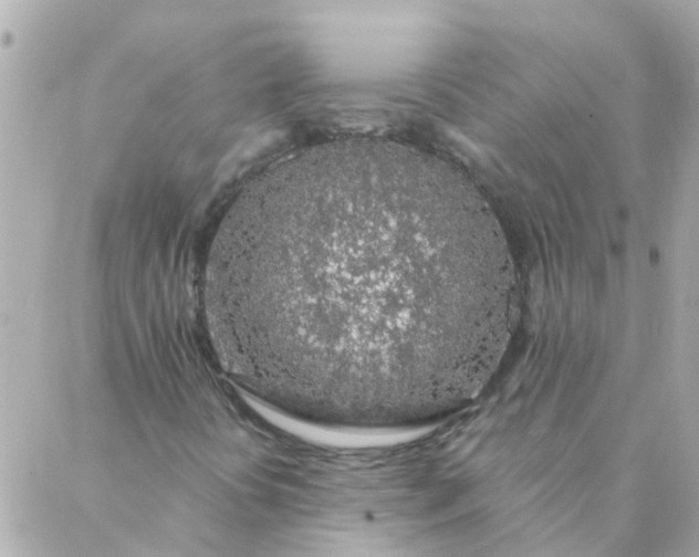 X0000087381394200705041933