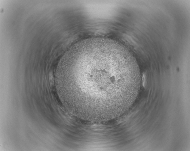 X0000087381395200705041933