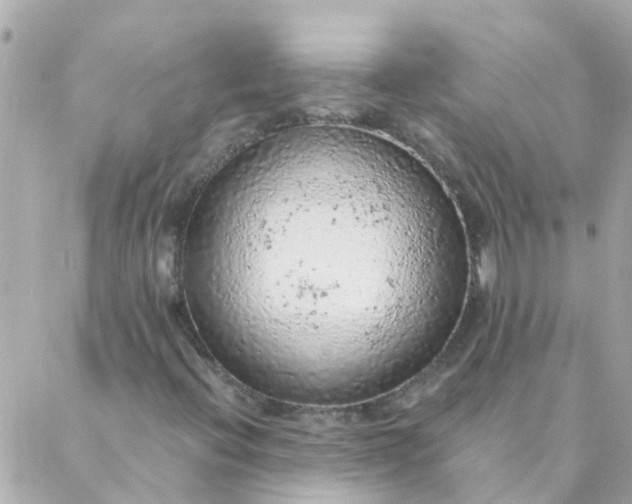 X0000087381396200705041933