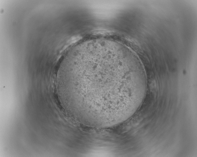 X0000087381397200705041933