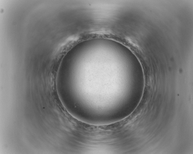 X0000087381398200705041933