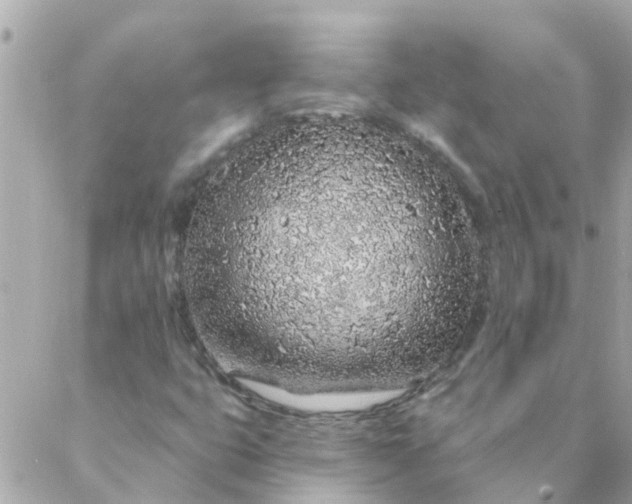 X0000087381399200705041933