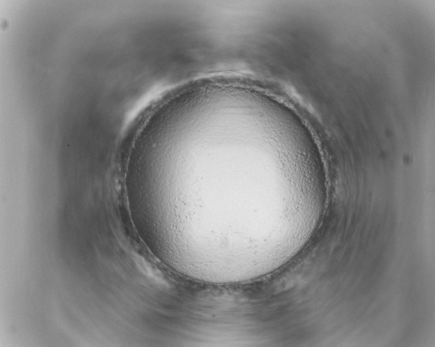 X0000087381400200705041933