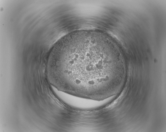 X0000087381401200705041933